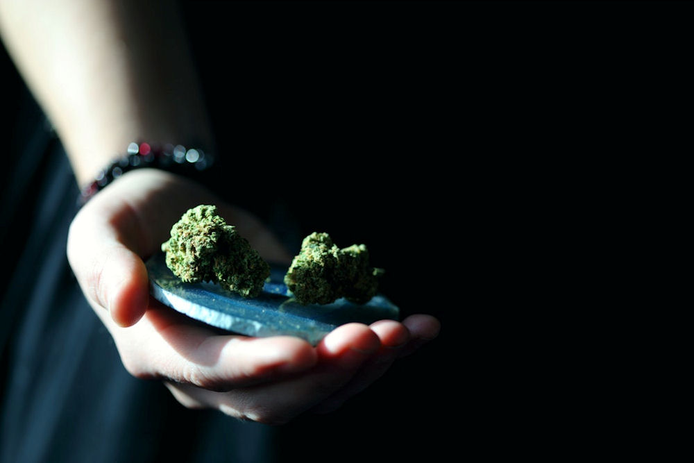 Hand holding two nugs of marijuana bud on a small stone plate